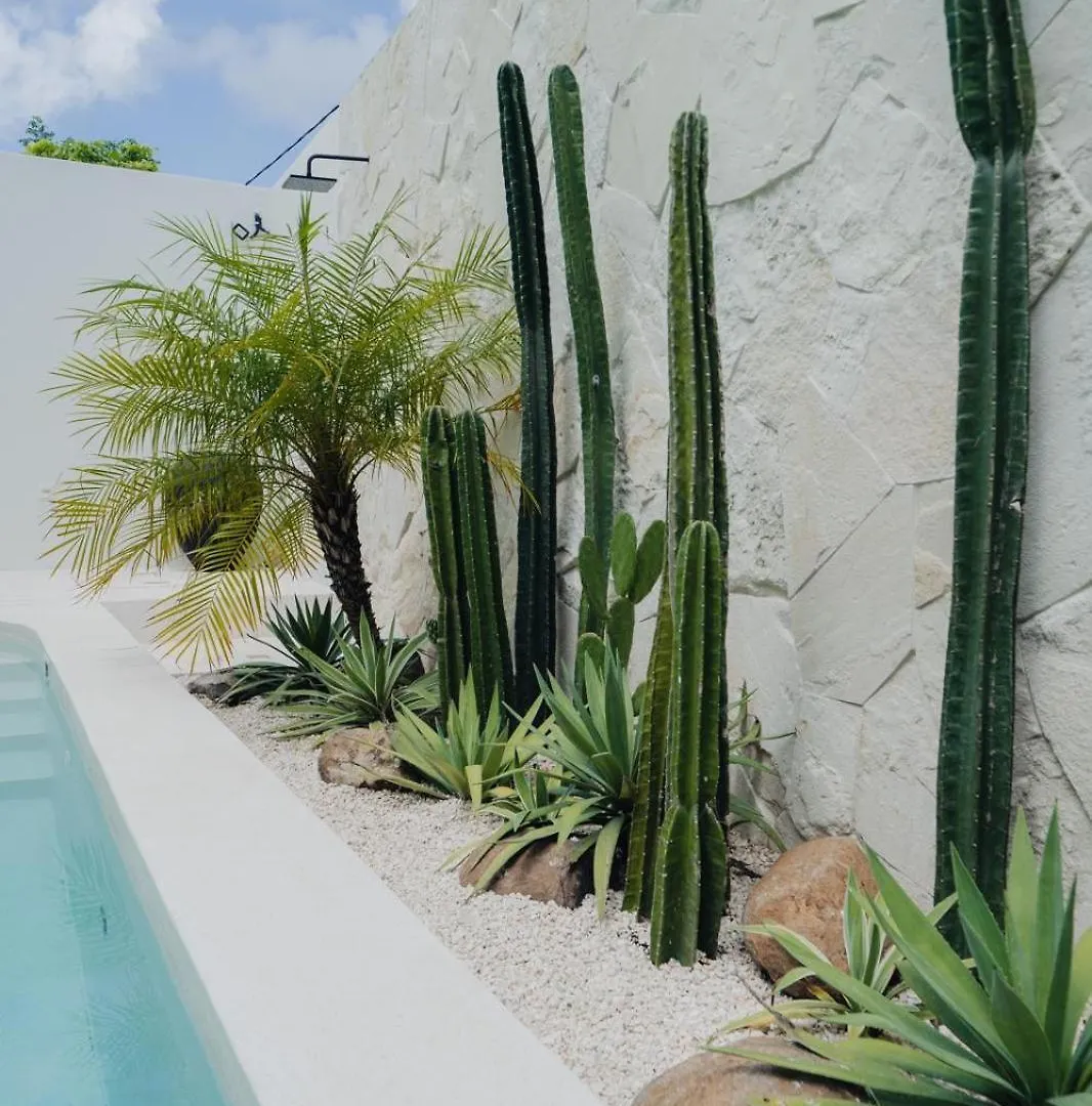 Casa Vay - Luxury Home 3 Bedrooms With Rooftop Pecatu  Pecatu (Bali)